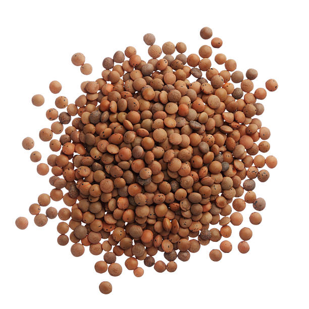 Uncooked lentils isolated on white background